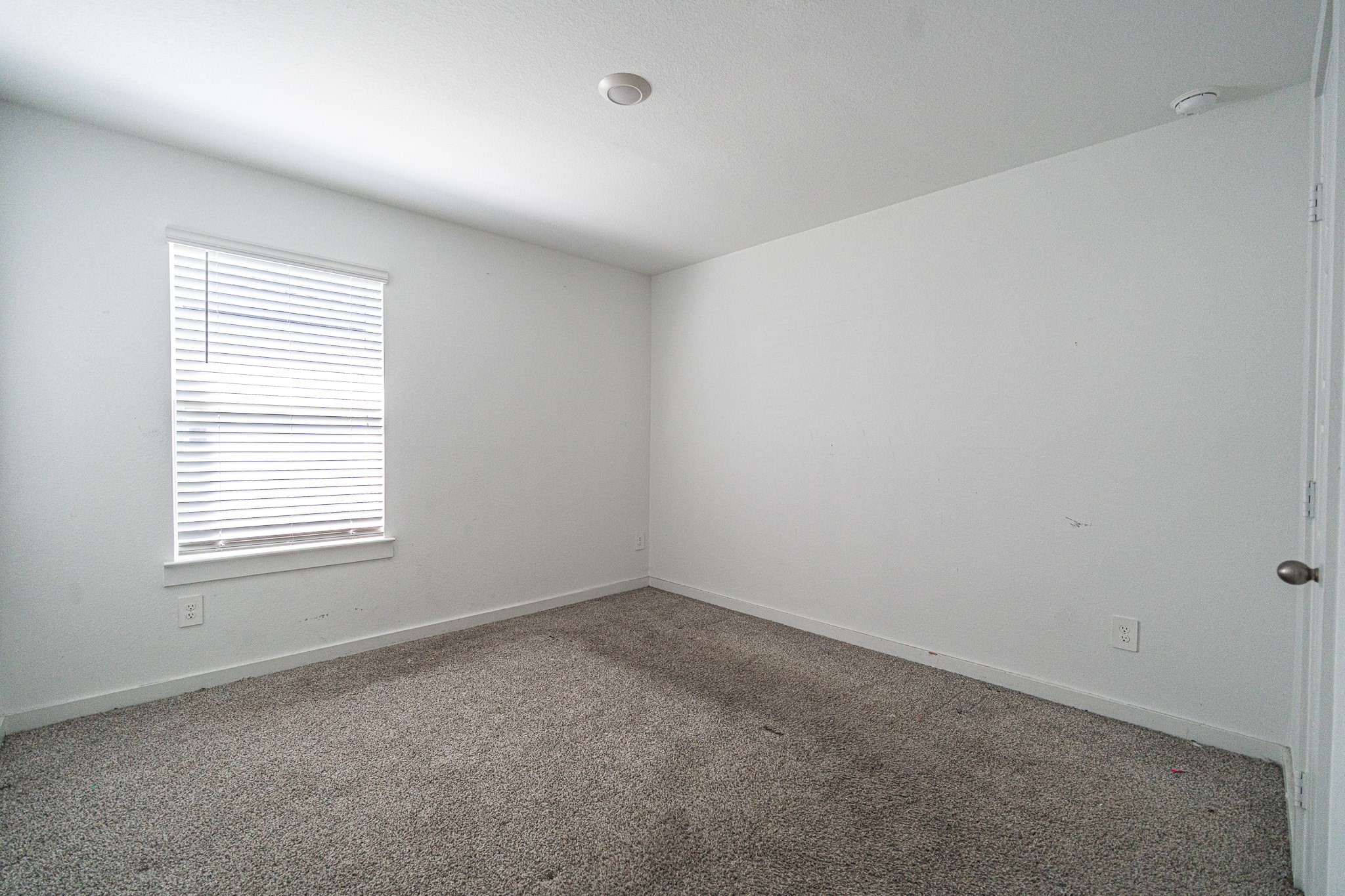 8730 Anacua Drive Rosharon, TX 77583 - Photo 10 of 22