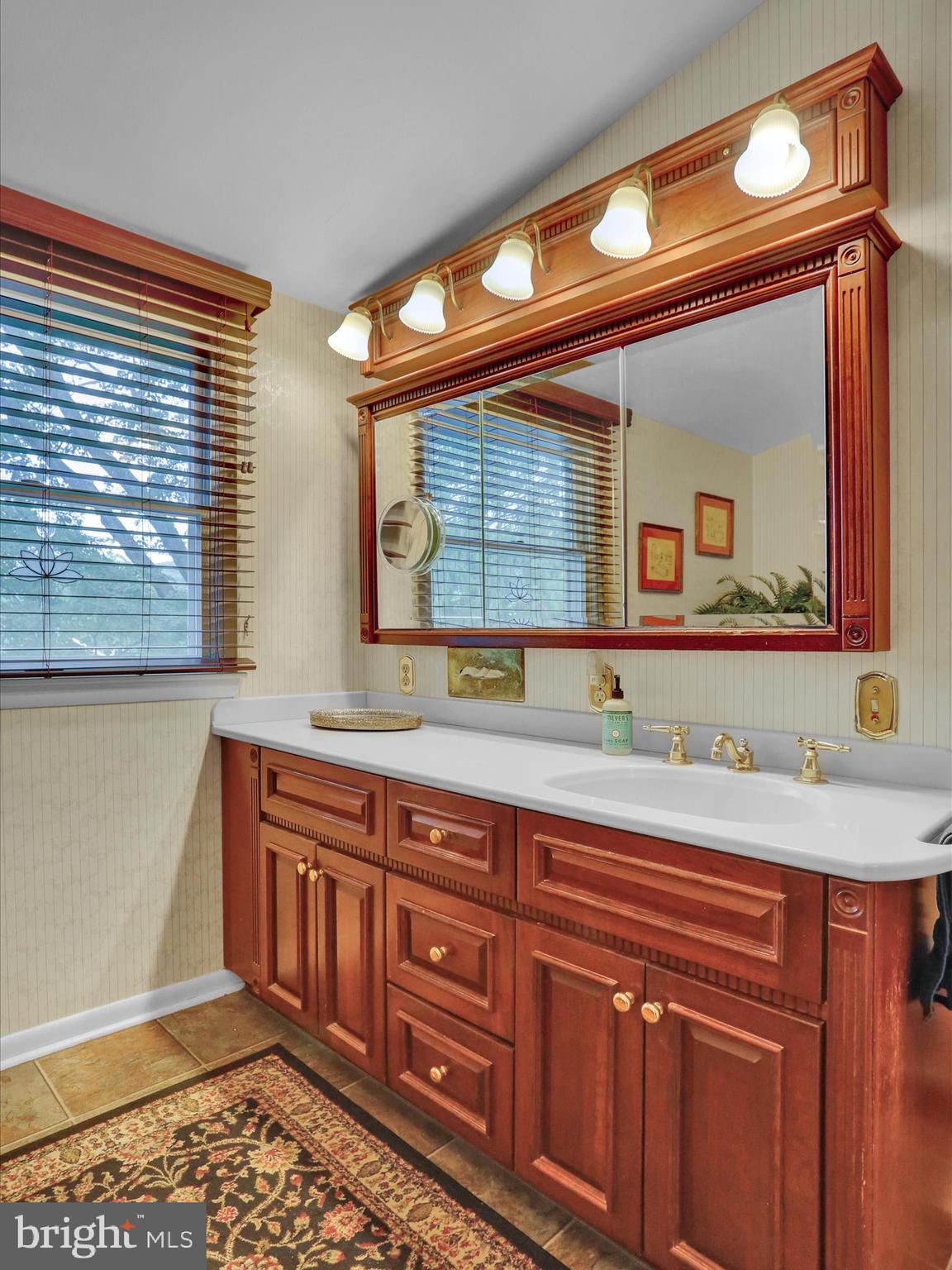 115 Mayer Street Reading, PA 19606 - Photo 38 of 48 a bathroom with a sink and a mirror