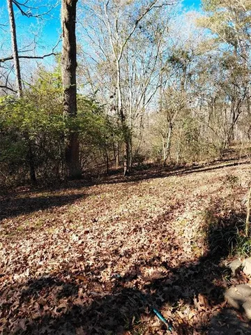 a view of outdoor space and yard
