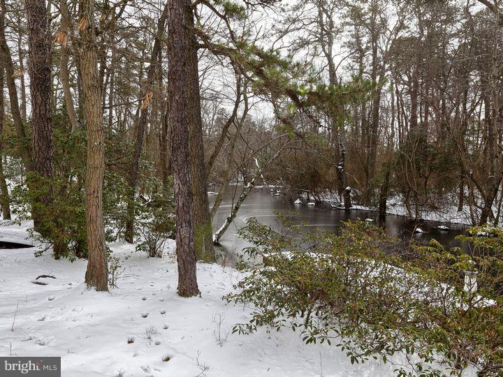 25 Sawmill Road Medford, NJ 08055 - Photo 25 of 25