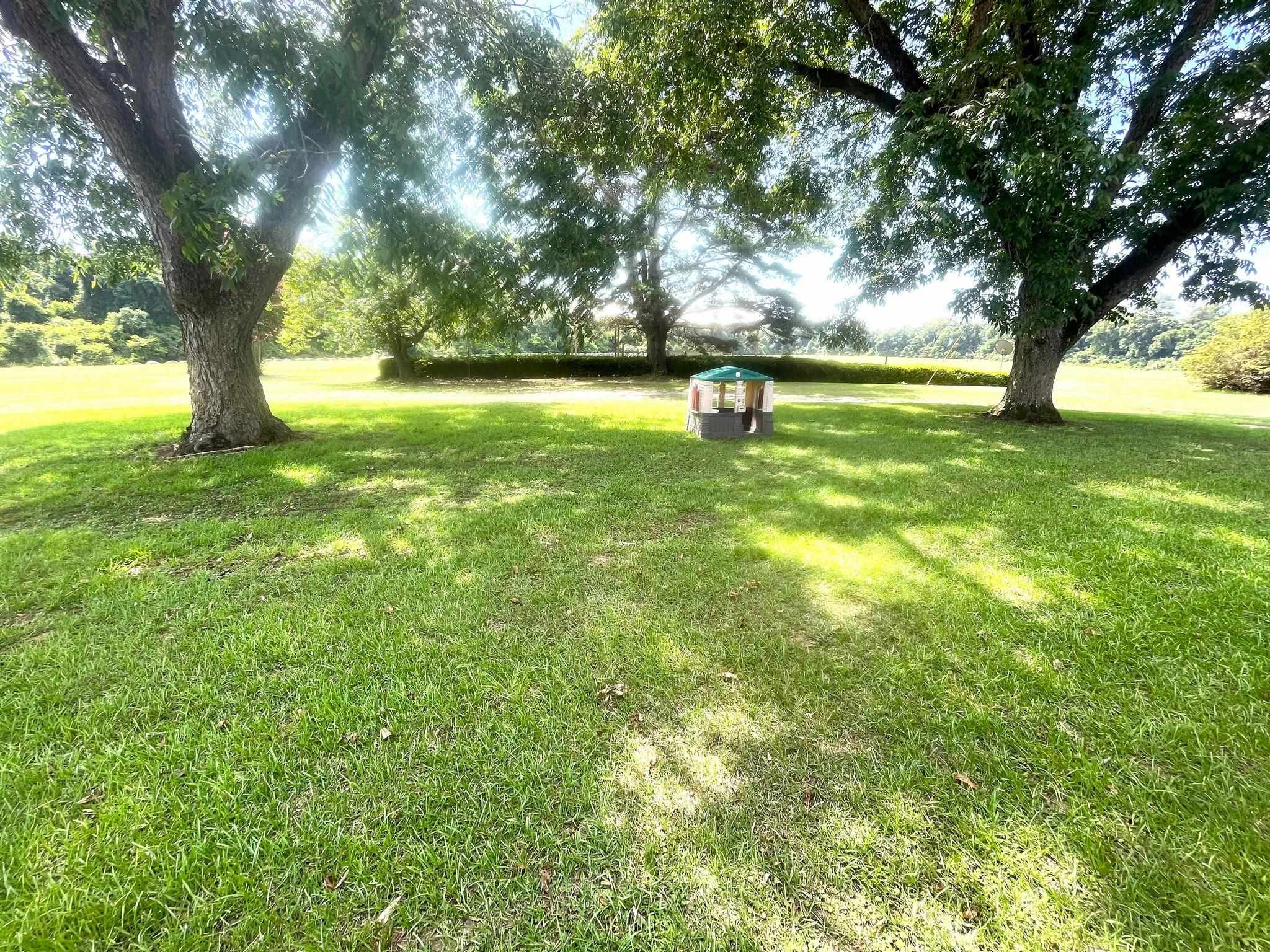2075 Lowman Loop Road Dozier, AL 36028 - Photo 16 of 43 Gallery Image 16