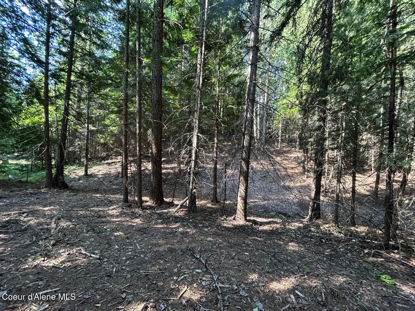 Lot 7-bk Fall Creek Road Naples, ID 83847 - Photo 11 of 24 06 Sloped Terrain