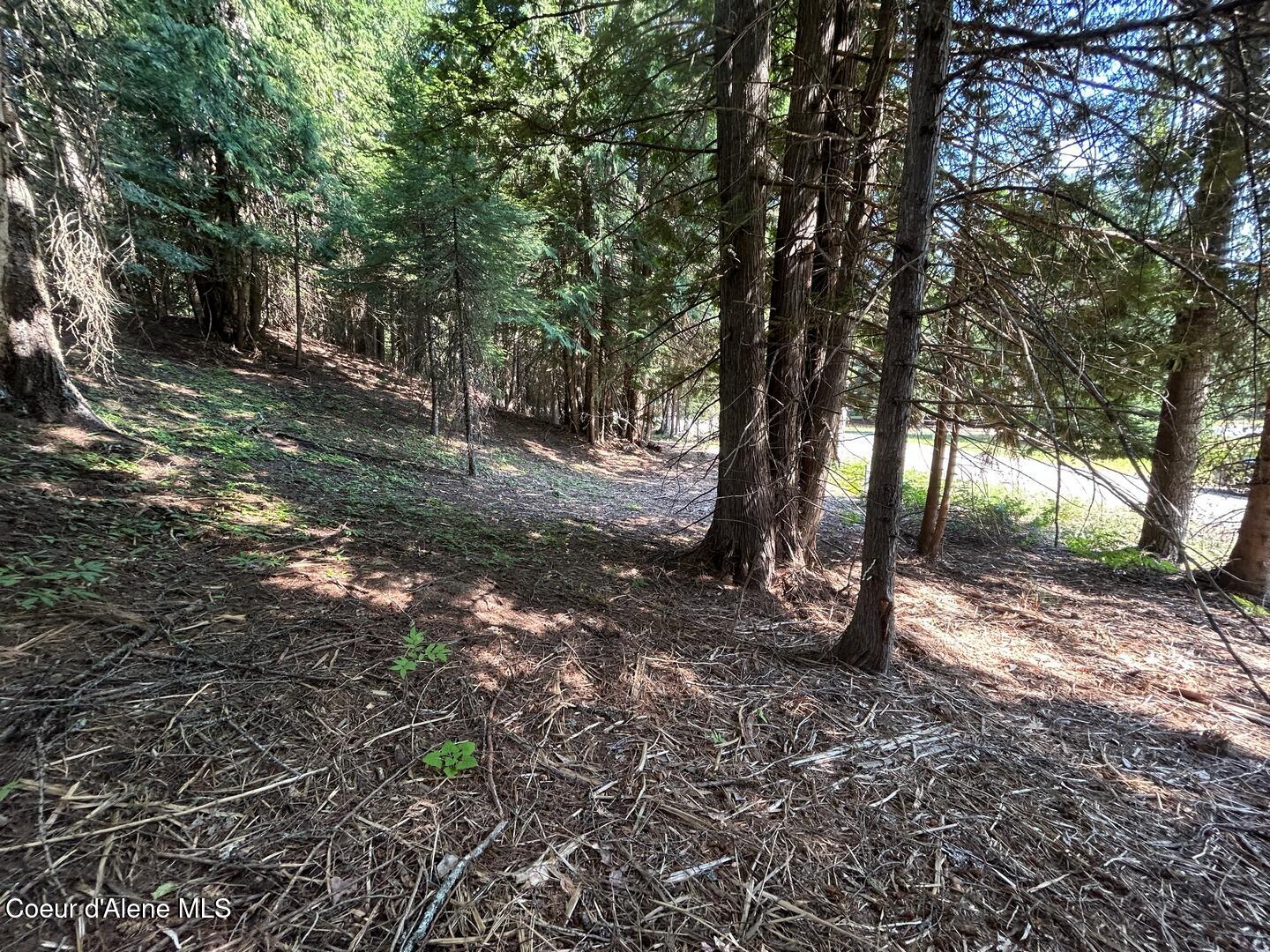 Lot 7-bk Fall Creek Road Naples, ID 83847 - Photo 12 of 24 07 Cedar Grove