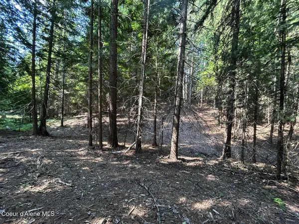 $140,000 | Lot 7-bk Fall Creek Road, Naples, ID 83847