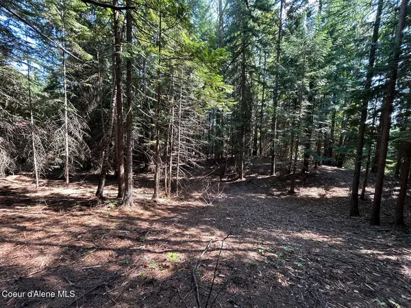 $140,000 | Lot 7-bk Fall Creek Road, Naples, ID 83847
