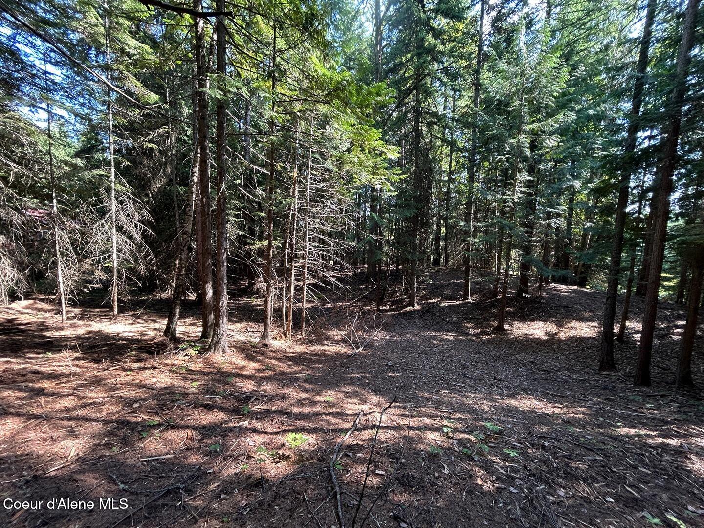 Lot 7-bk Fall Creek Road Naples, ID 83847 - Photo 14 of 23 08 Cool and Shady