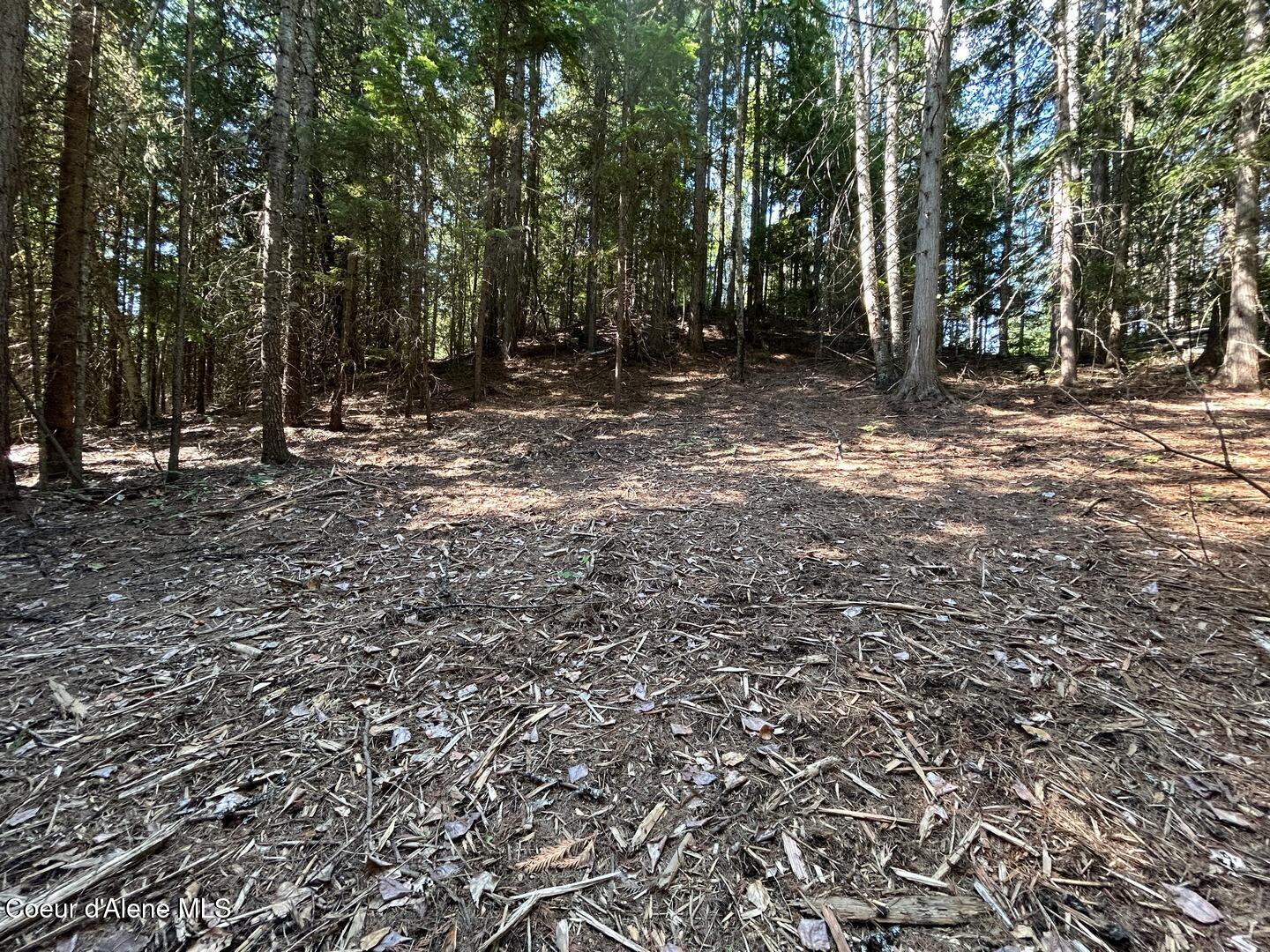 Lot 7-bk Fall Creek Road Naples, ID 83847 - Photo 15 of 24 11 Recently Mulched