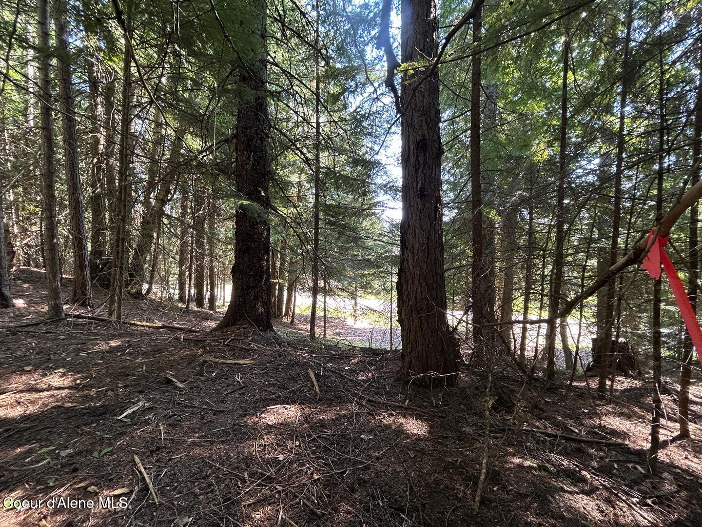 Lot 7-bk Fall Creek Road Naples, ID 83847 - Photo 16 of 24 12 South Property Corner