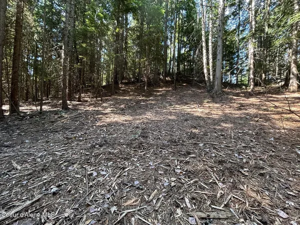 $140,000 | Lot 7-bk Fall Creek Road, Naples, ID 83847