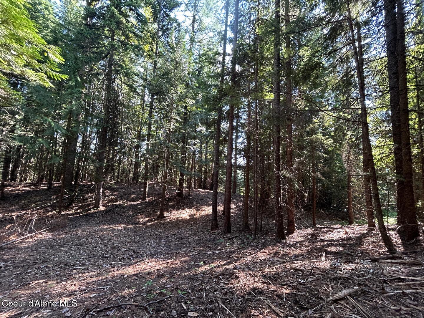 Lot 7-bk Fall Creek Road Naples, ID 83847 - Photo 18 of 24 13 Towering Cedars