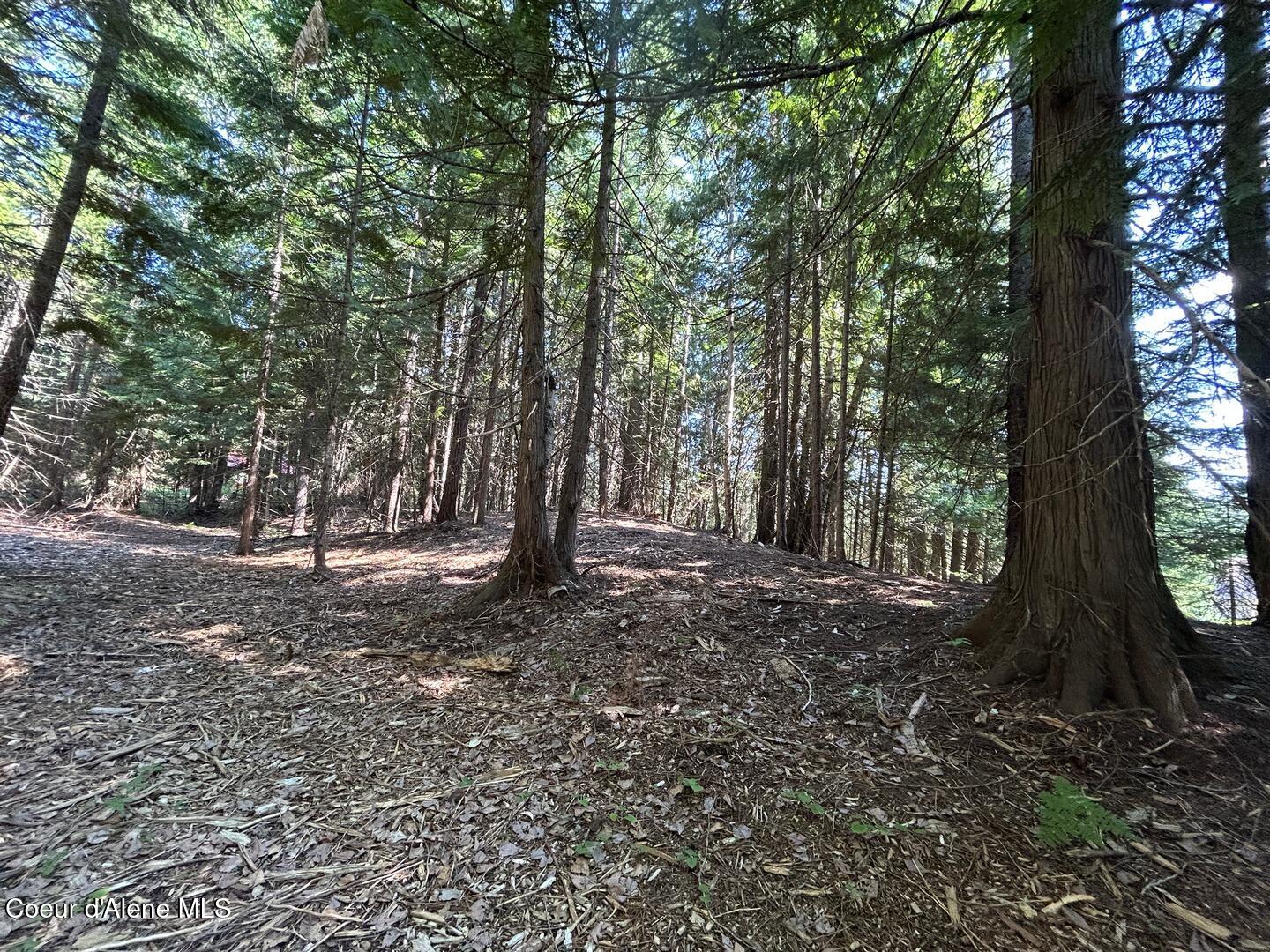 Lot 7-bk Fall Creek Road Naples, ID 83847 - Photo 19 of 24 14 Undulating Terrain