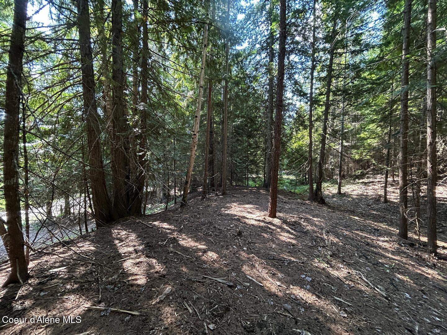 Lot 7-bk Fall Creek Road Naples, ID 83847 - Photo 20 of 24 15 Benched