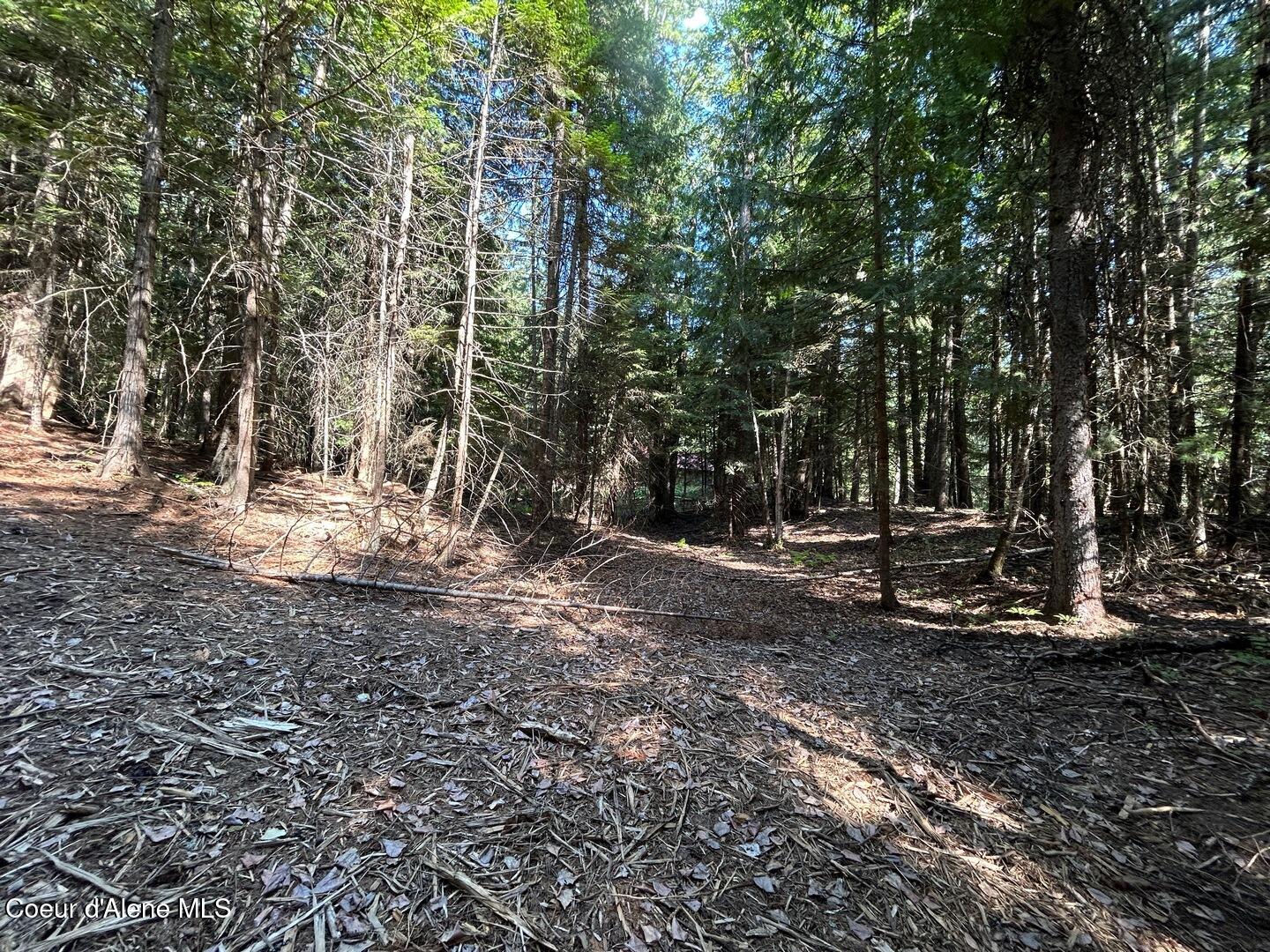 Lot 7-bk Fall Creek Road Naples, ID 83847 - Photo 21 of 24 16 Gully