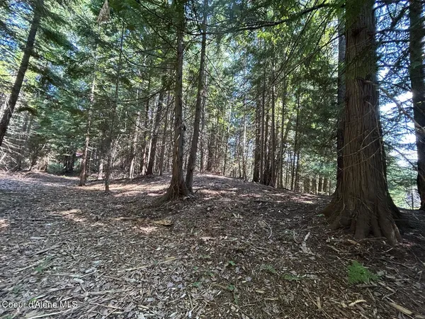 $140,000 | Lot 7-bk Fall Creek Road, Naples, ID 83847