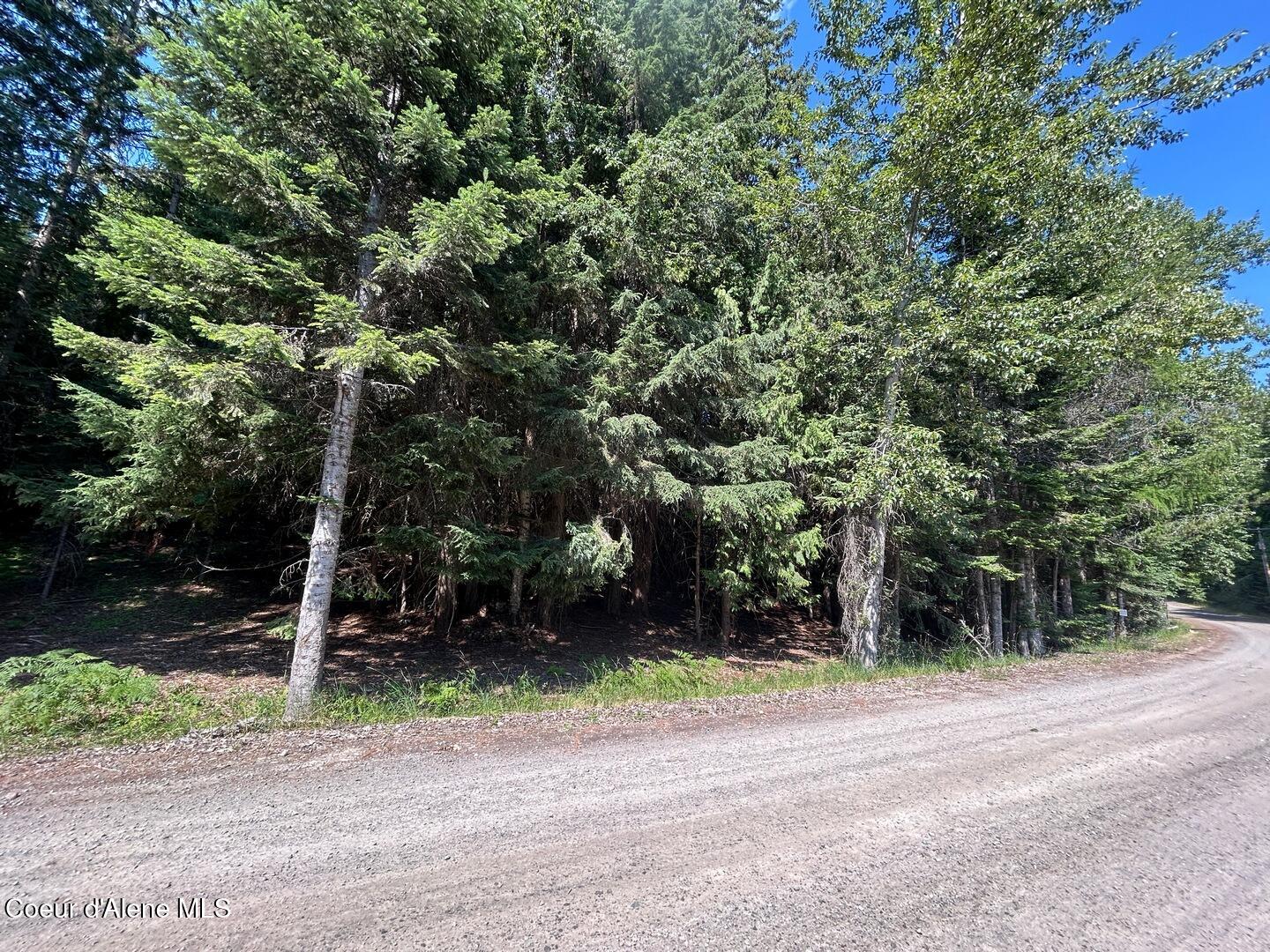 Lot 7-bk Fall Creek Road Naples, ID 83847 - Photo 5 of 24 02 Treed Lot