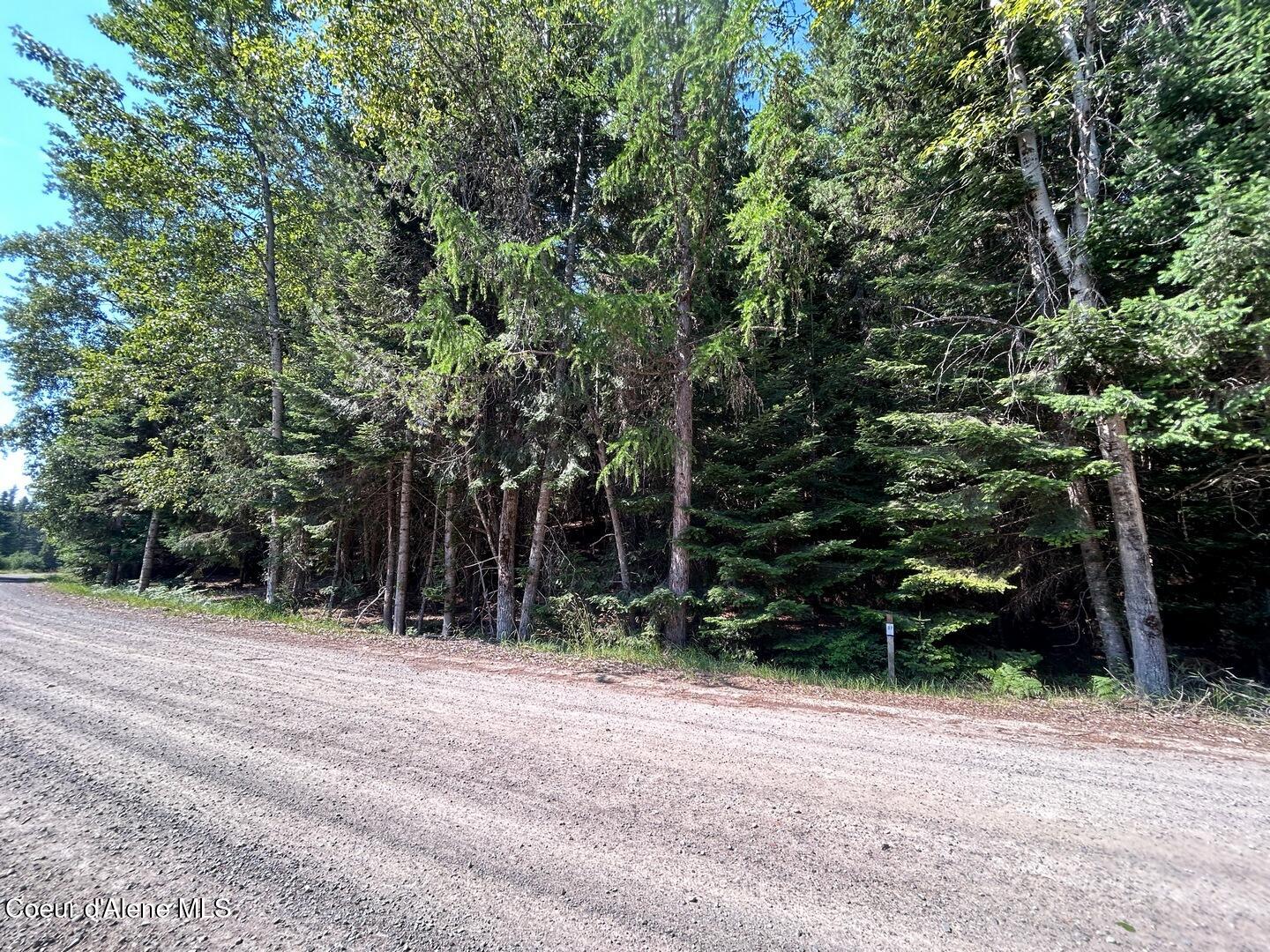 Lot 7-bk Fall Creek Road Naples, ID 83847 - Photo 6 of 23 04A View from Fall Creek Rd