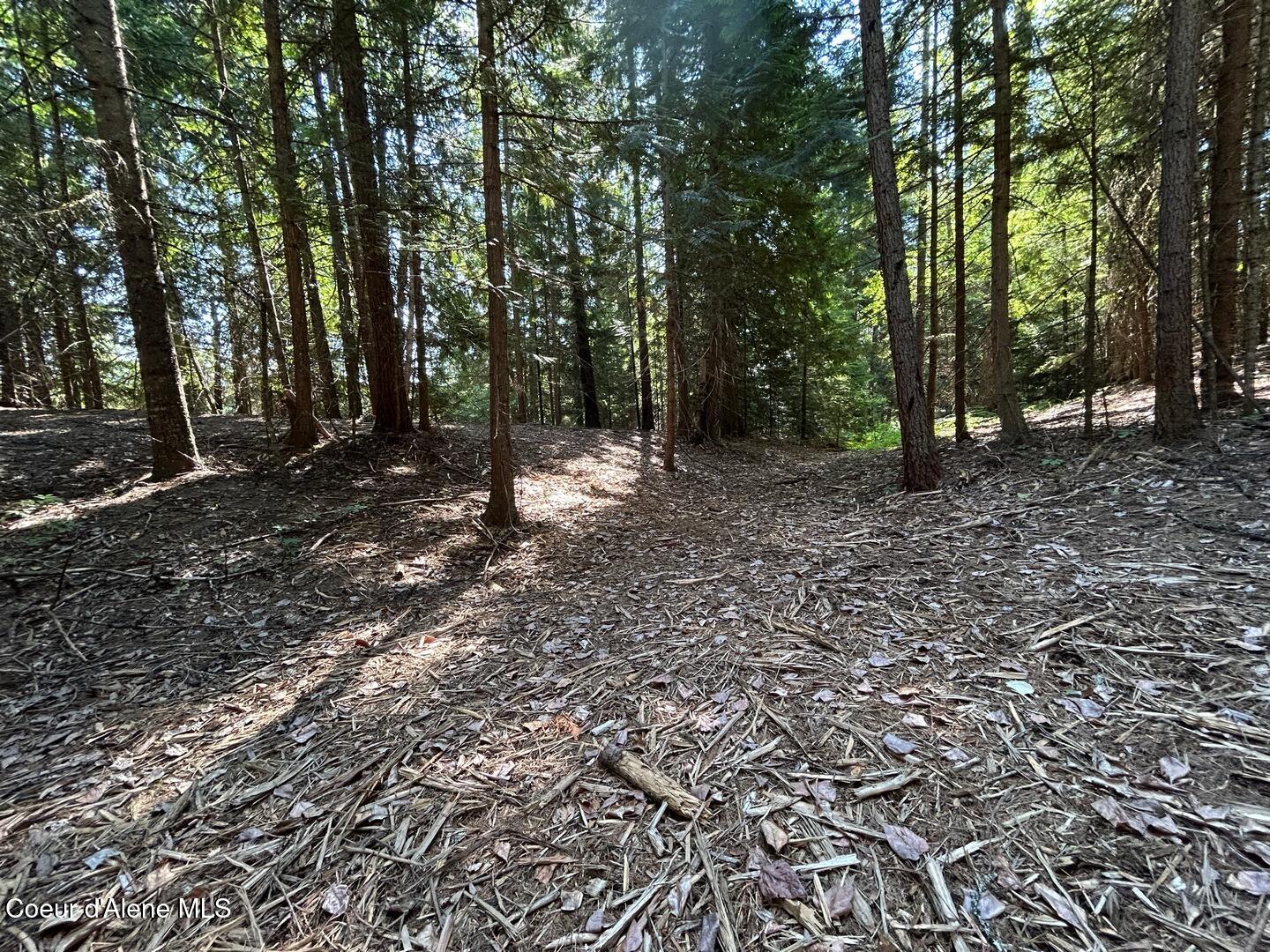 Lot 7-bk Fall Creek Road Naples, ID 83847 - Photo 7 of 24 05 Filtered Sunlight
