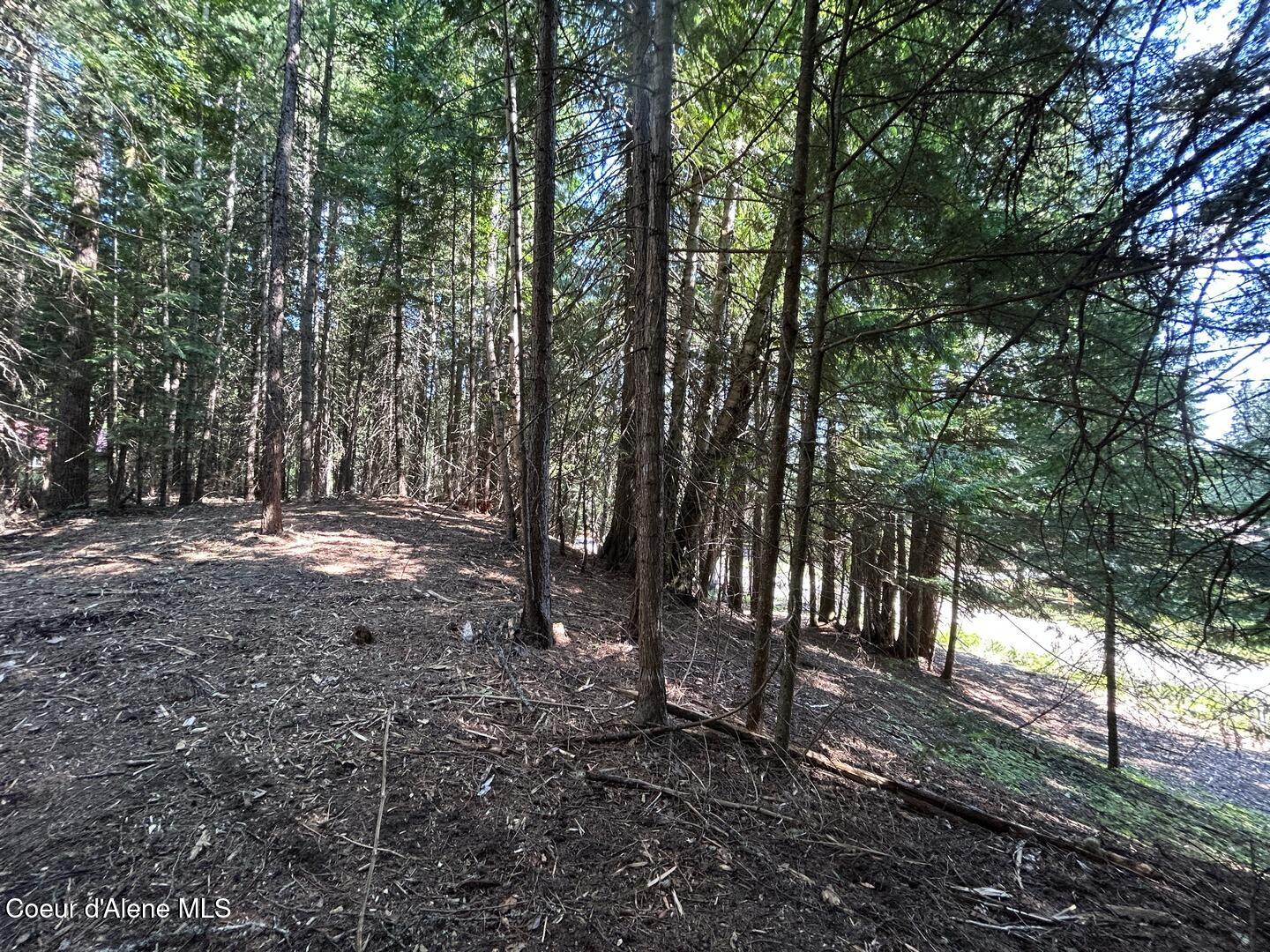 Lot 7-bk Fall Creek Road Naples, ID 83847 - Photo 8 of 24 03 Benched Terrain