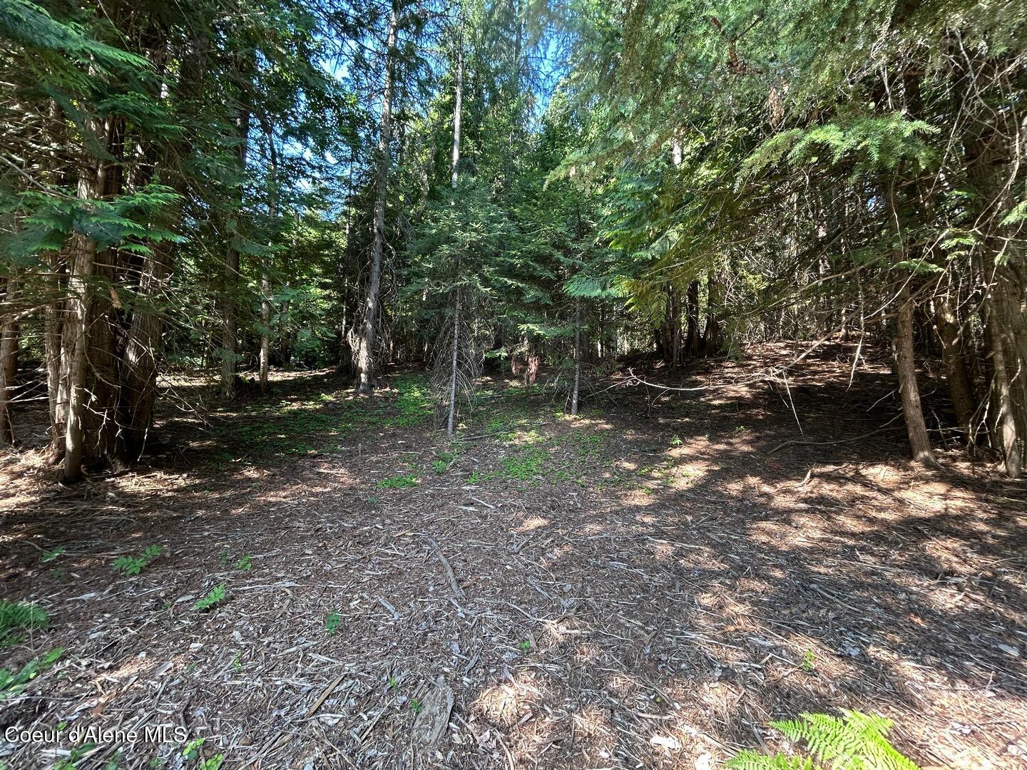 Lot 7-bk Fall Creek Road Naples, ID 83847 - Photo 9 of 24 01 Shady Cedar Lot