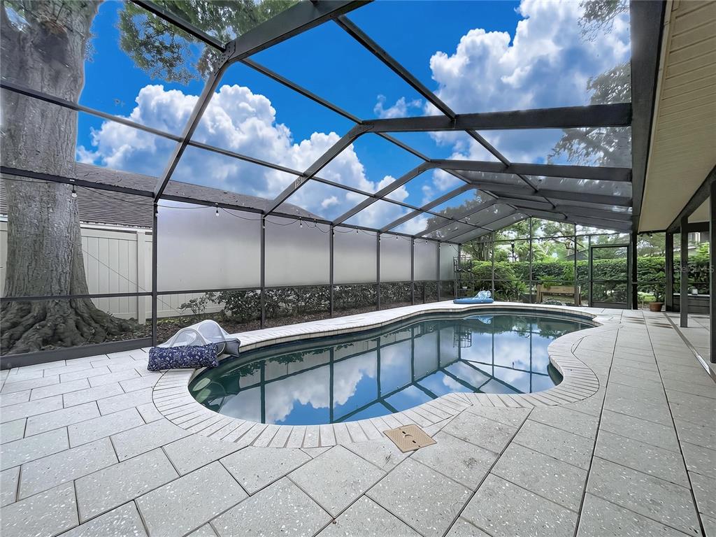 1711 Magdalene Manor Drive Tampa, FL 33613 - Photo 83 of 88