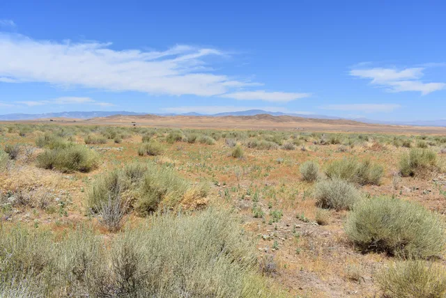 a view of a lake with mountains in the background