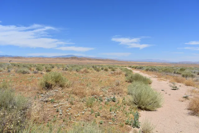 a view of an ocean and beach