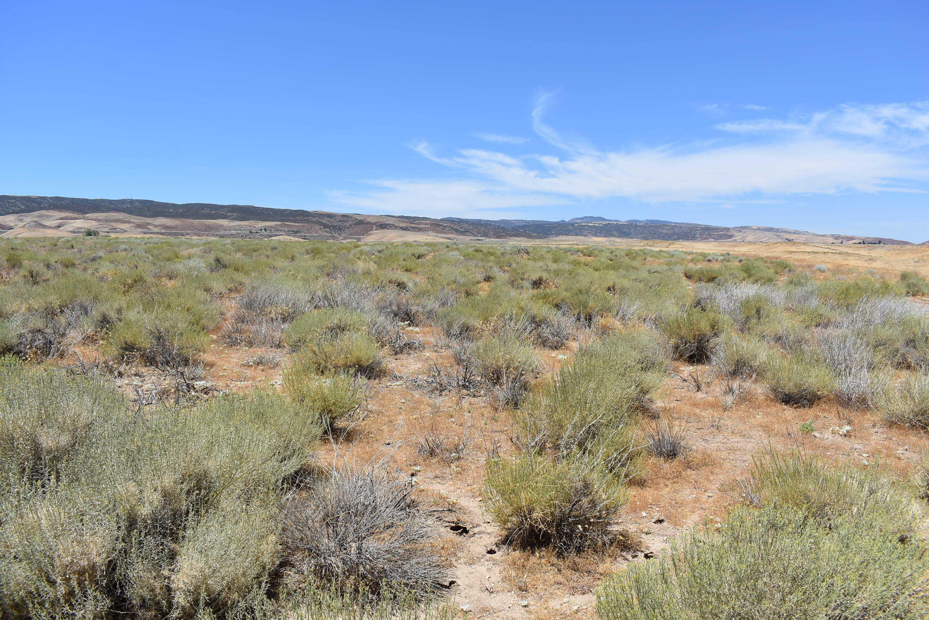 137th Street West Lancaster, CA 93536 - Photo 18 of 34 a view of a city with lush green forest