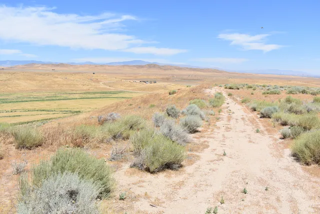 a view of an ocean and beach