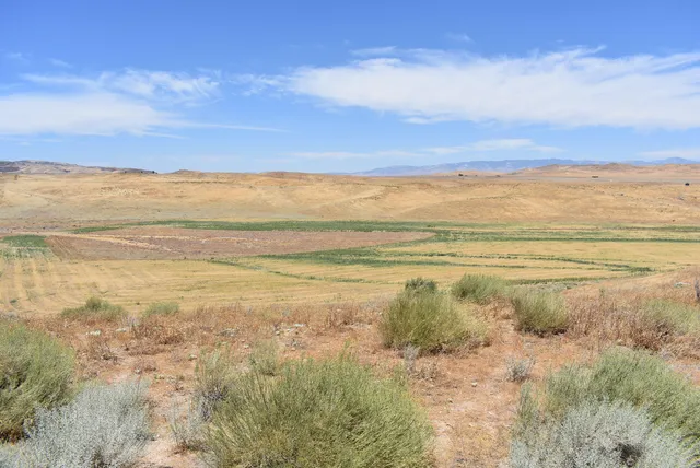 a view of city and ocean