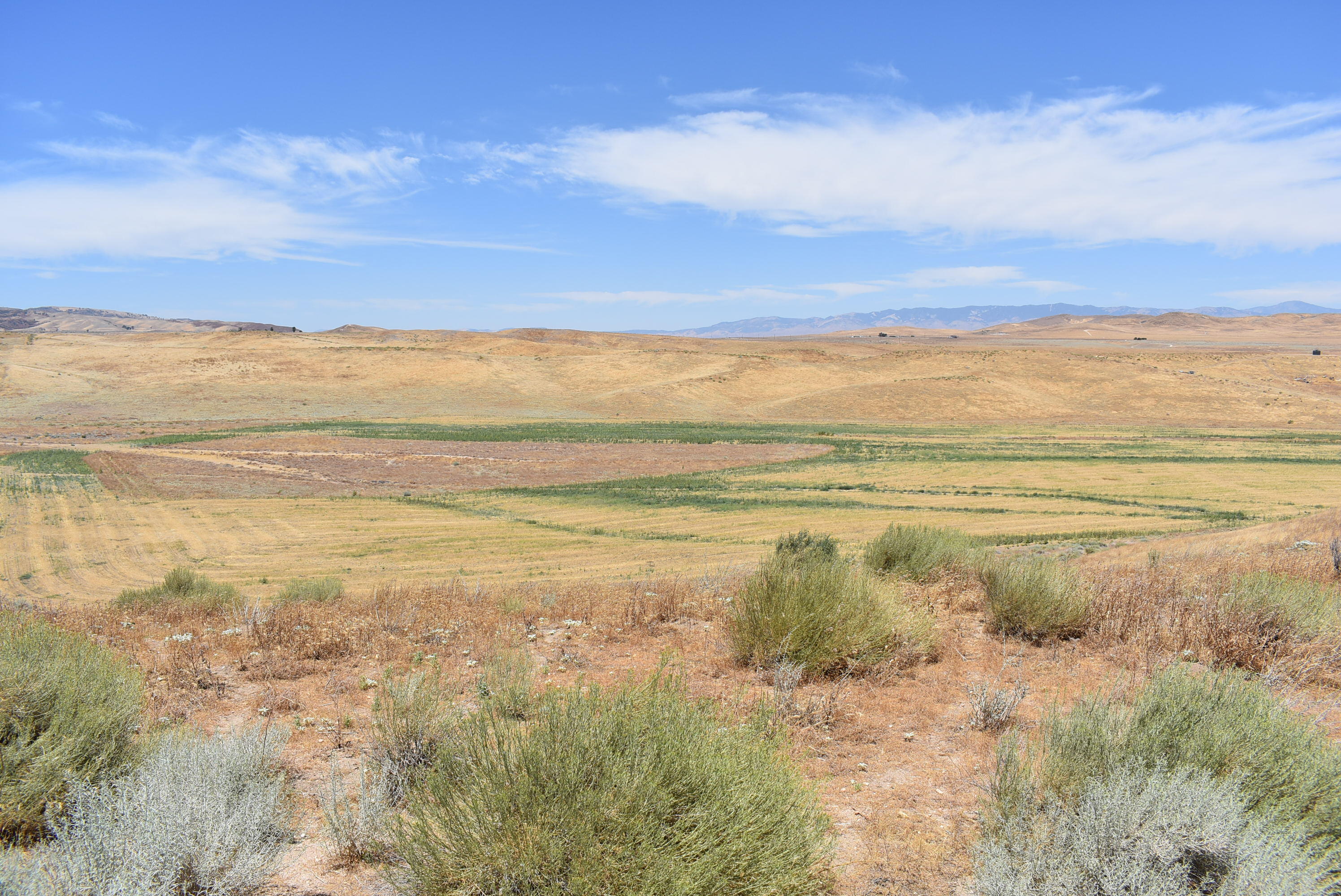 137th Street West Lancaster, CA 93536 - Photo 24 of 34 a view of an ocean and beach
