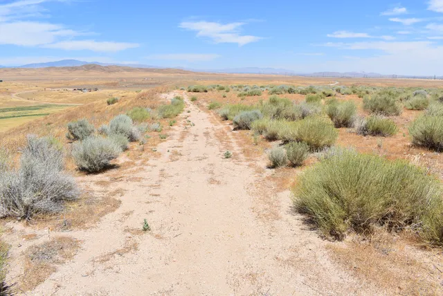 a view of a field and mountains