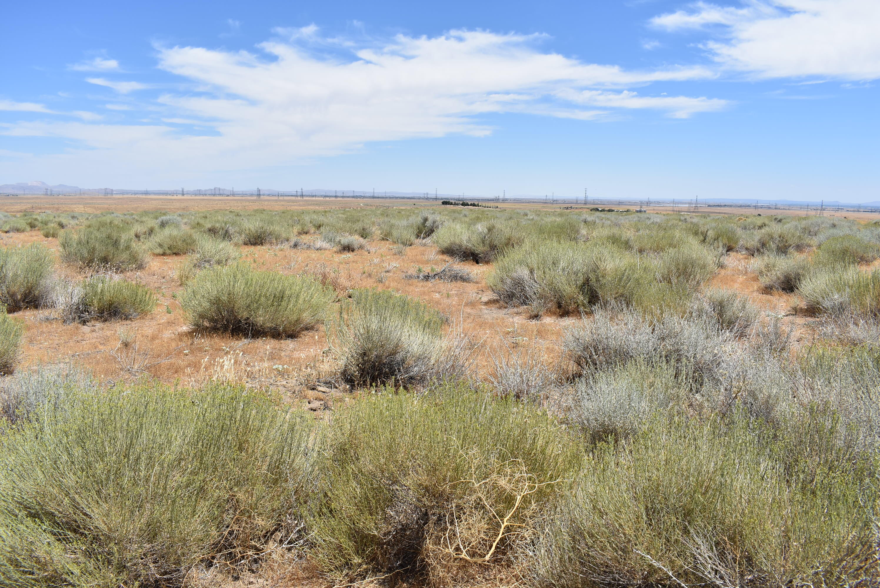 137th Street West Lancaster, CA 93536 - Photo 26 of 34 a view of a field and mountains