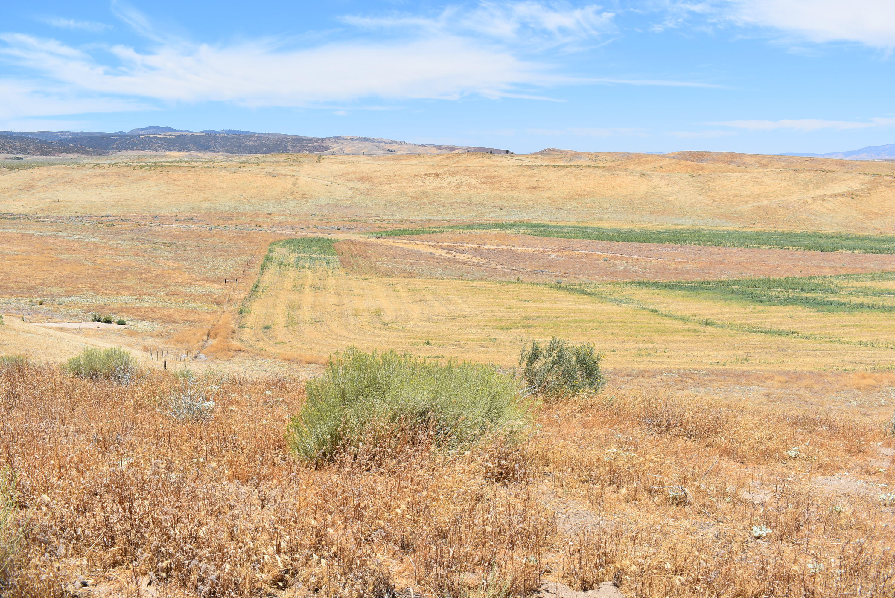 137th Street West Lancaster, CA 93536 - Photo 27 of 34 a view of an ocean