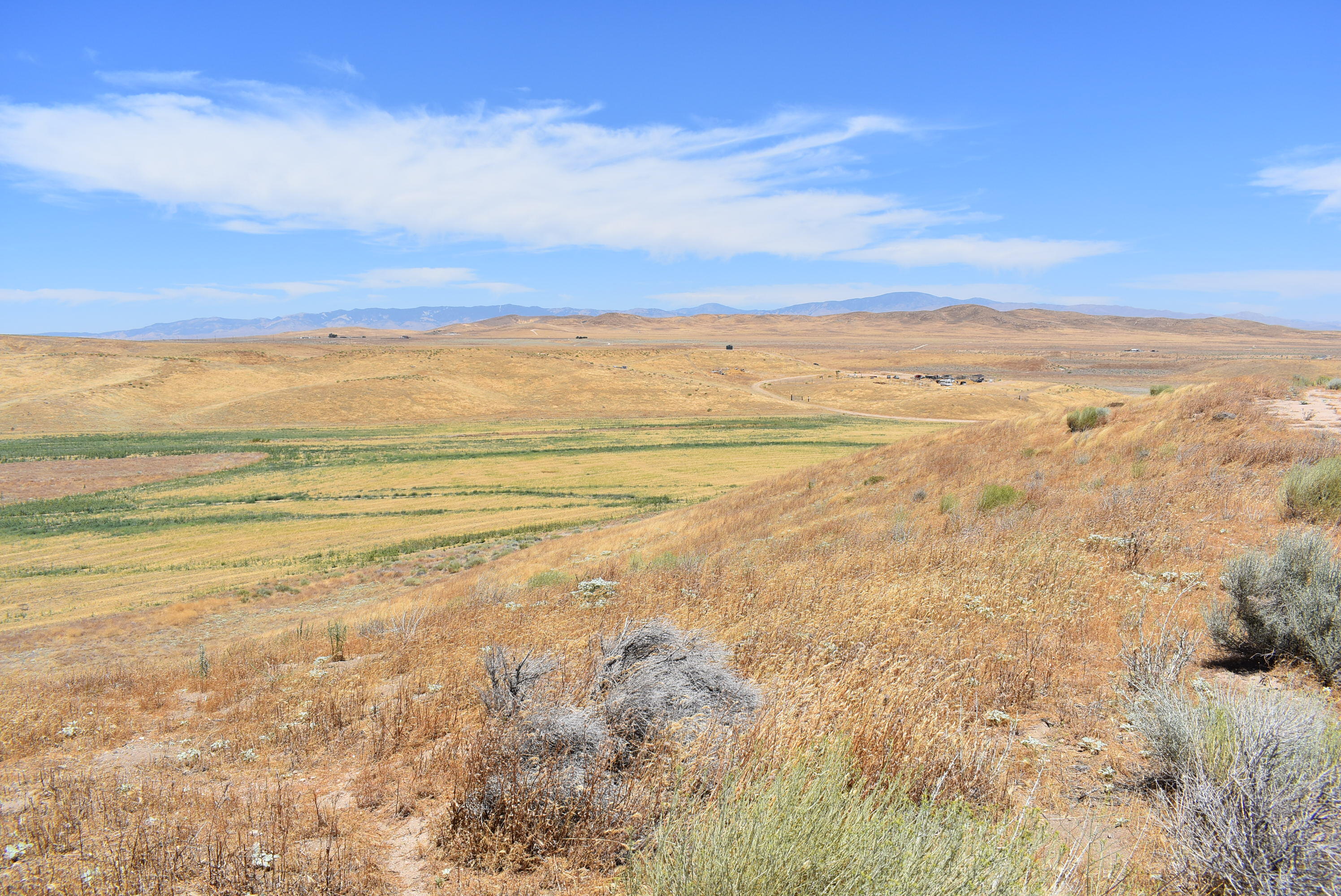 137th Street West Lancaster, CA 93536 - Photo 28 of 34 a view of an ocean