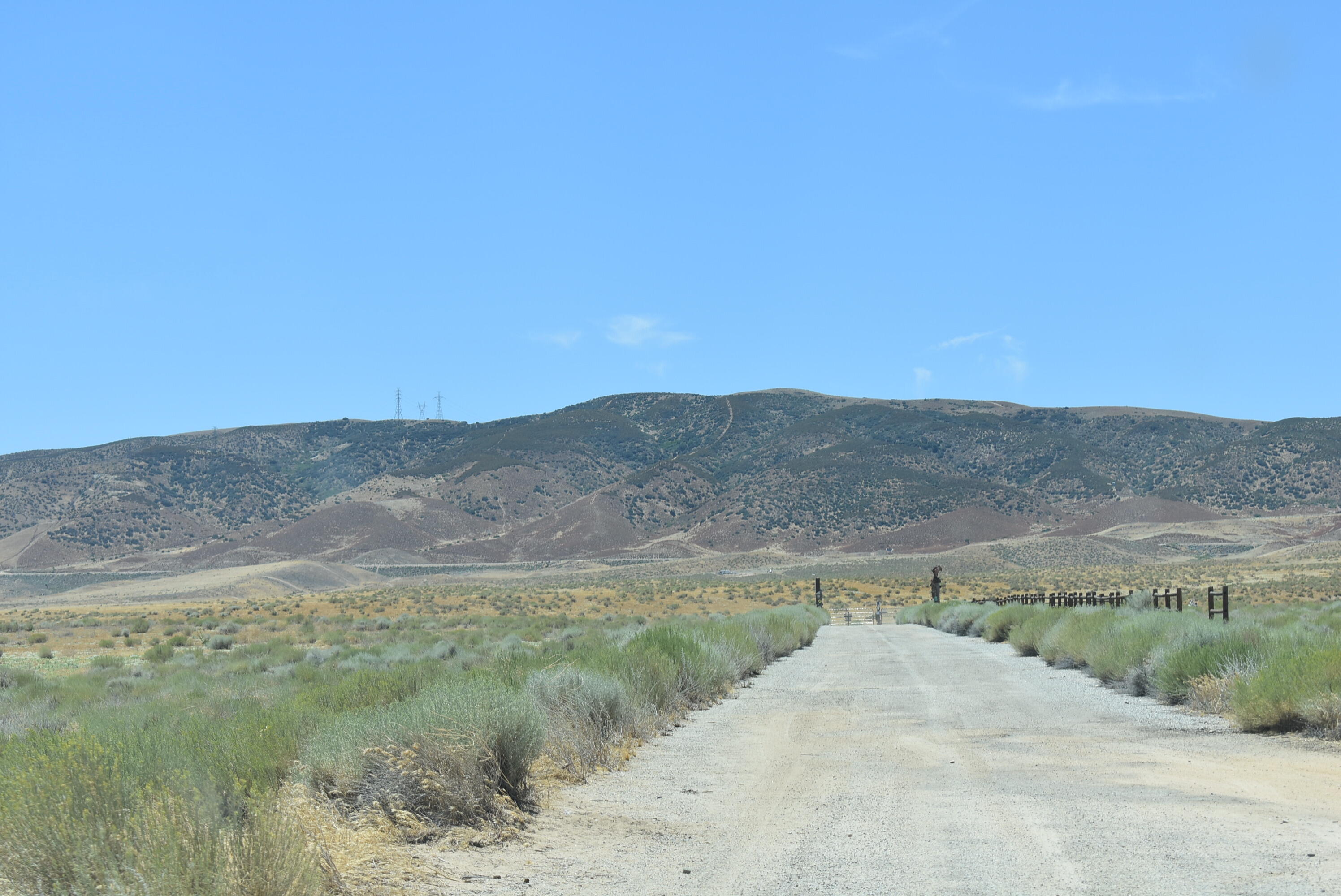 137th Street West Lancaster, CA 93536 - Photo 29 of 34 a view of a dry yard with mountains in the background