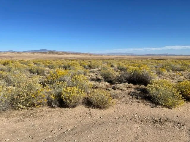 a view of beach and ocean