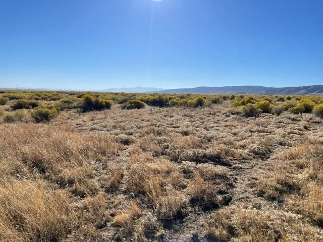 a view of an ocean beach