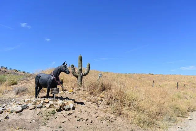 a view of a sky view