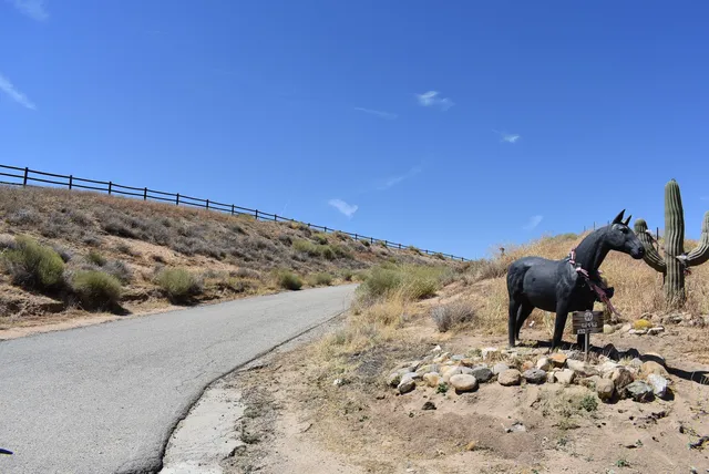 a view of a yard with wooden fence
