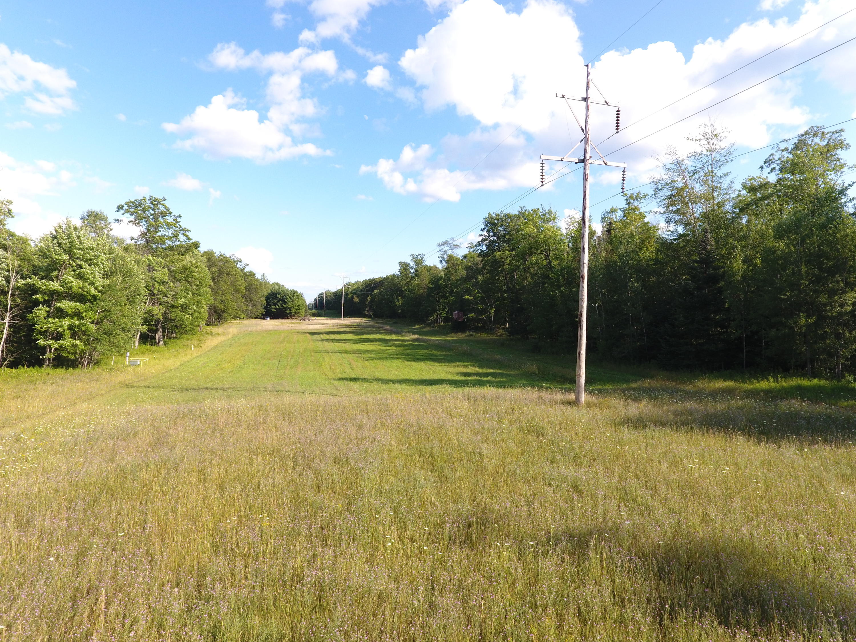 North Taylor Road Lincoln, MI 48742 - Photo 5 of 35 Gallery Image 5