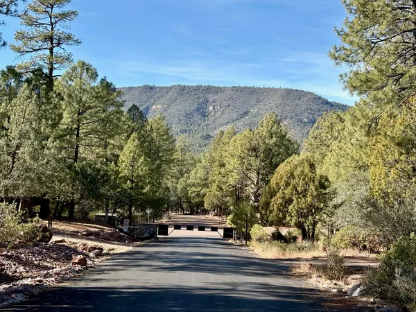 $110,000 | Lot 19 North Elk Rub Lane, Pine, AZ 85544