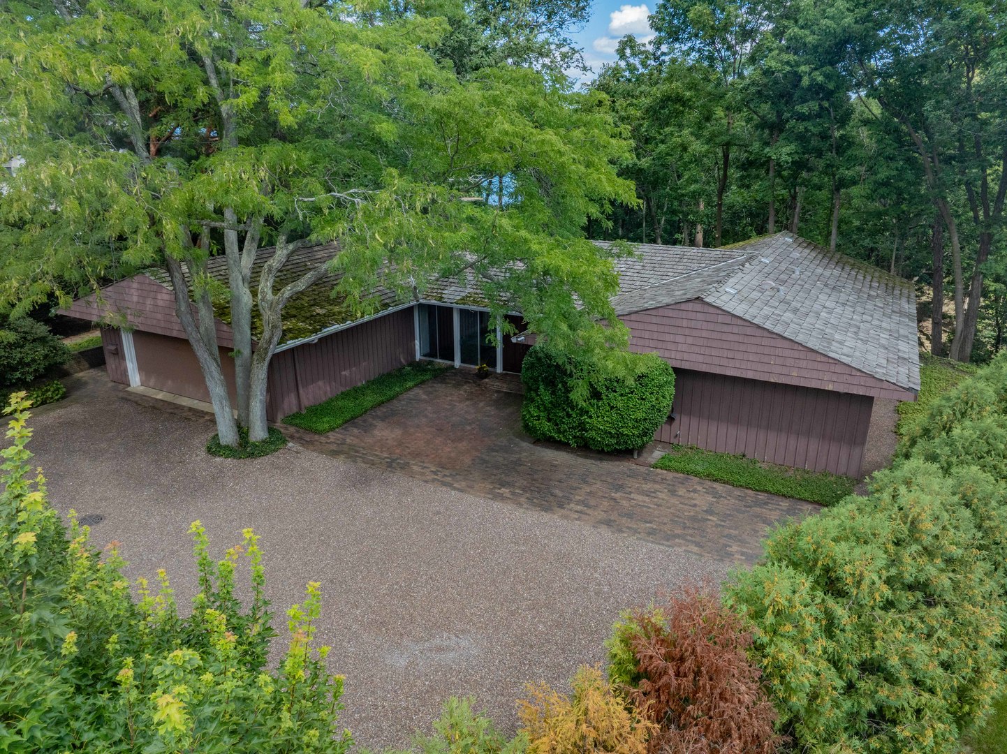 a view of a wooden house and large trees