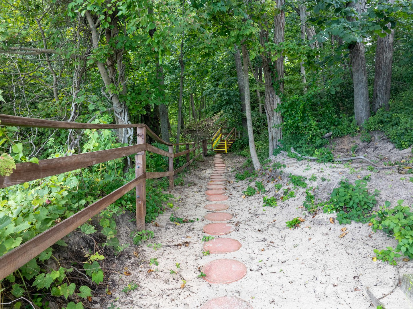 1045 Hillcrest Road Glencoe, IL 60022 - Photo 4 of 32 a view of a yard with large trees
