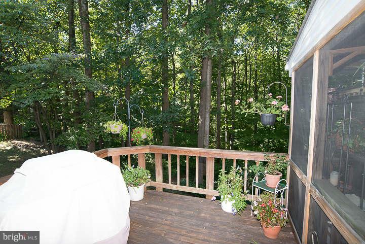5906 Freds Oak Road Burke, VA 22015 - Photo 26 of 30 Exterior (Rear)