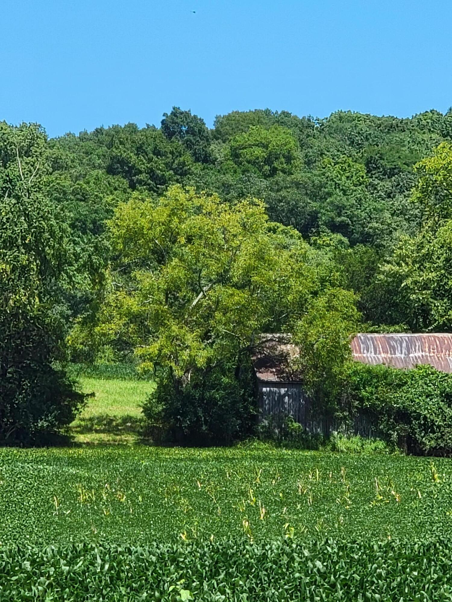 0 Peaks Mill Road Frankfort, KY 40601 - Photo 3 of 35 Gallery Image 3