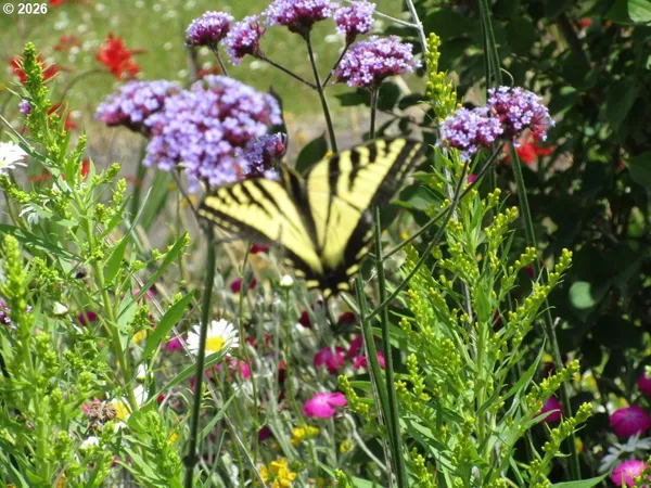 $2,399,995 | 90834 Coburghills Drive, Eugene, OR 97408