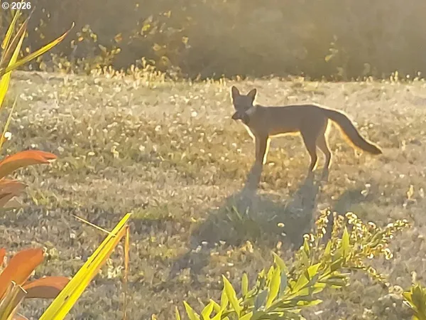 $2,399,995 | 90834 Coburghills Drive, Eugene, OR 97408