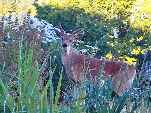 $2,399,995 | 90834 Coburghills Drive, Eugene, OR 97408