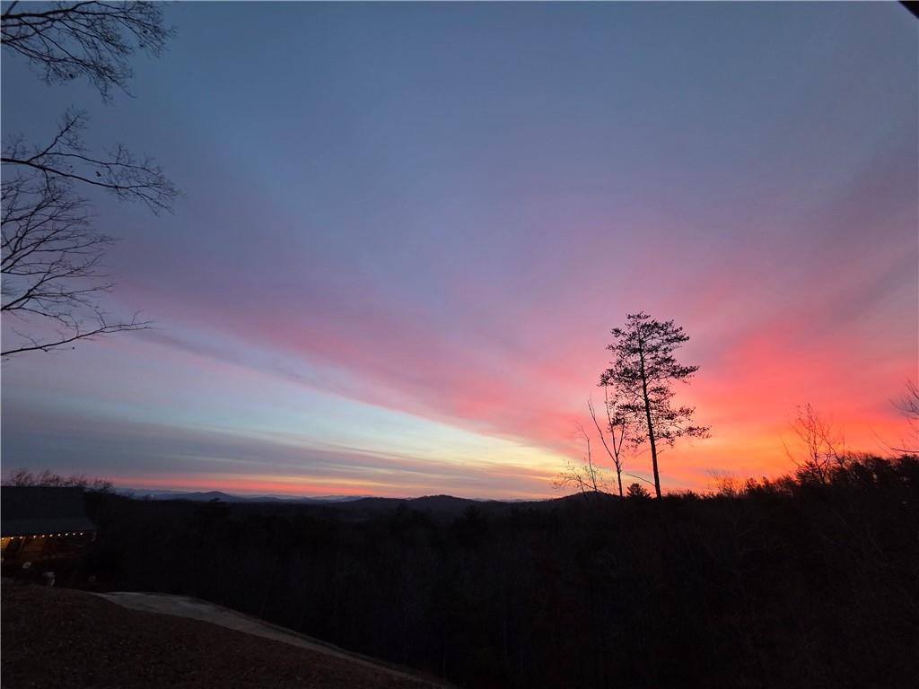 259 Red Bush School Road Blue Ridge, GA 30513 - Photo 37 of 46