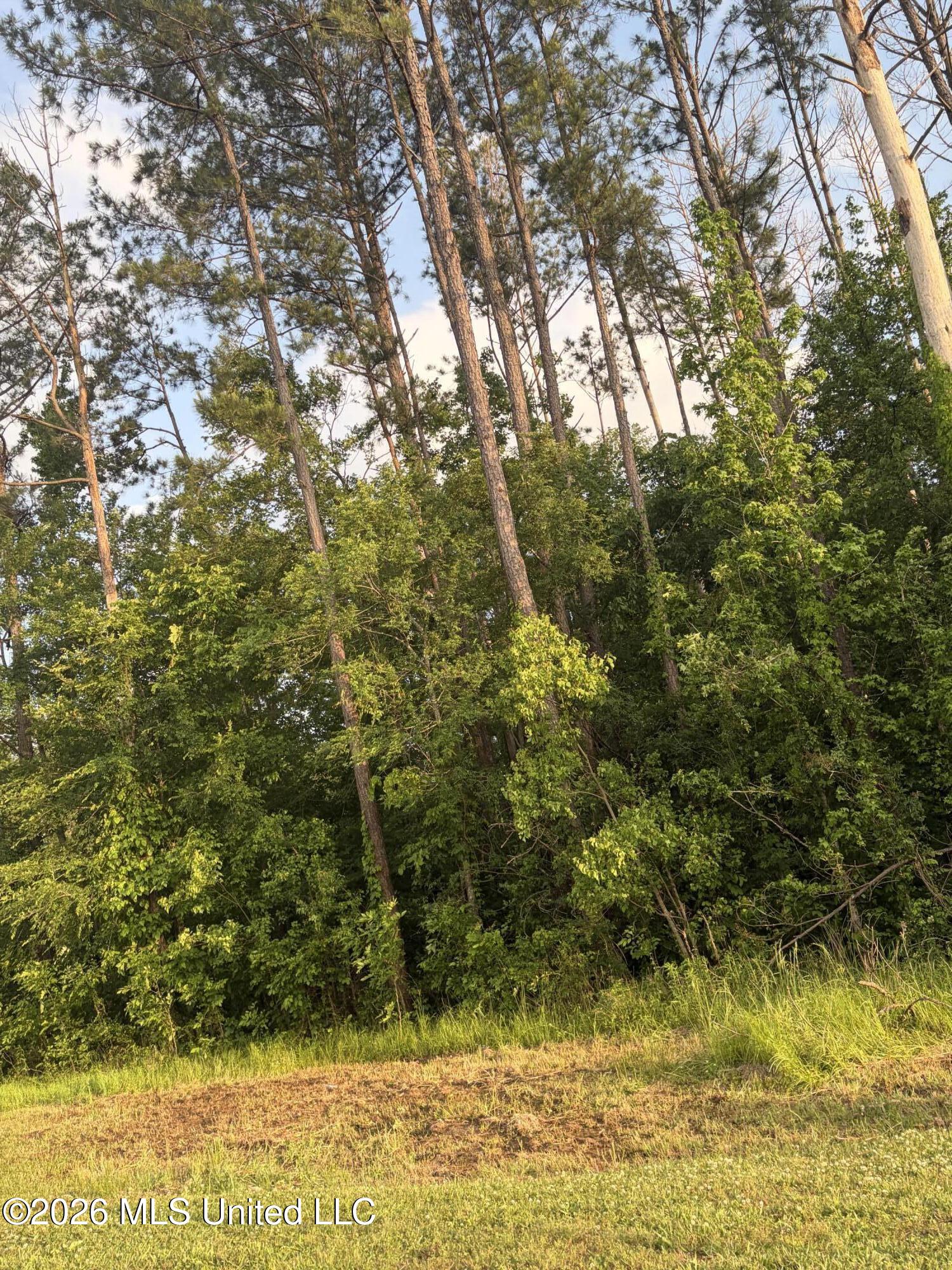 Airport Road Flowood, MS 39232 - Photo 2 of 8 Land Image 4